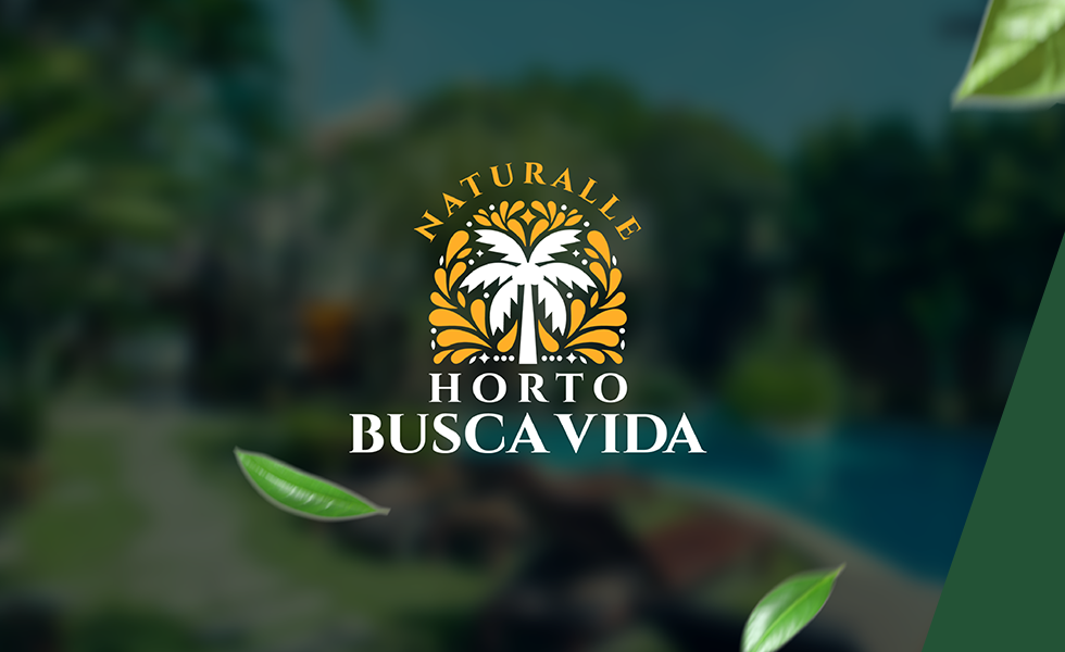 Marcelo Barreto Designer-15