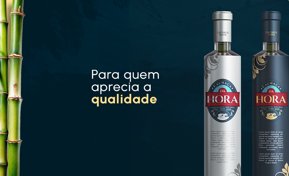 Marcelo Barreto Designer-27